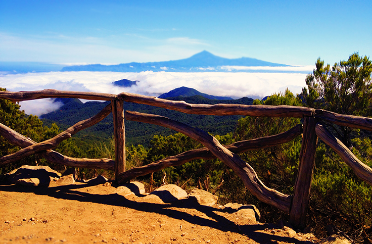 la gomera cloud forest teide