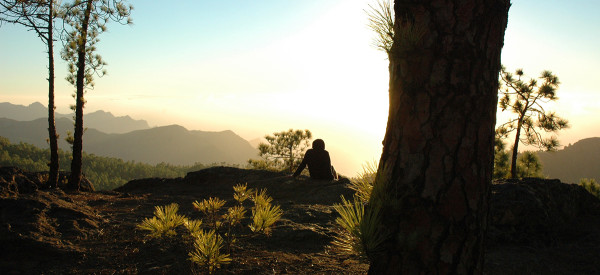 canary islands gran canaria tamadaba
