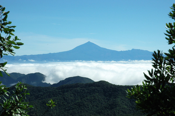 teide volcano tenerife canary islands